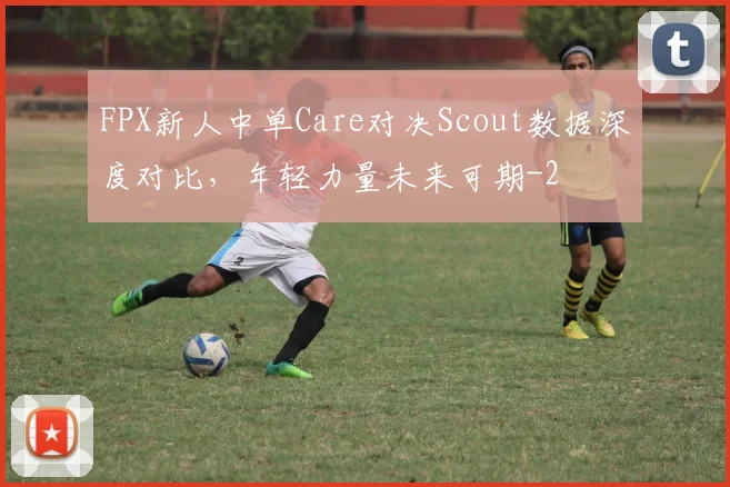 FPX新人中单Care对决Scout数据深度对比,年轻力量未来可期