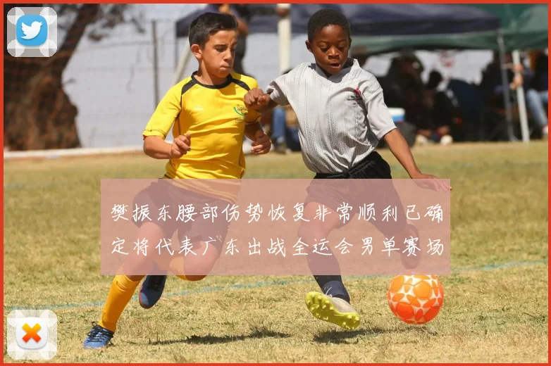 樊振东腰部伤势恢复非常顺利已确定将代表广东出战全运会男单赛场